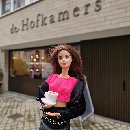 De Hofkamers 3* Ostend