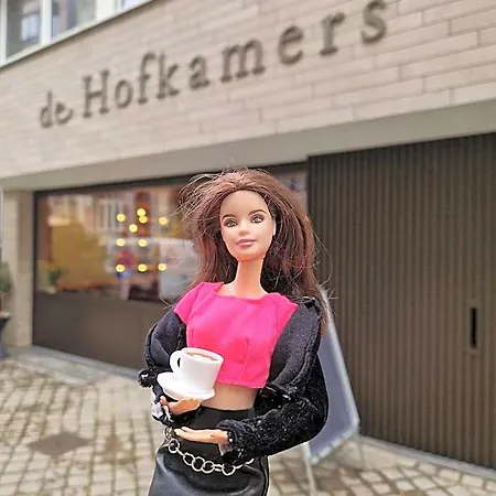 De Hofkamers Hotel Oostende