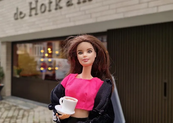 De Hofkamers 3* Oostende